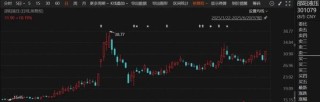 停牌！301079，宣布重大资产重组！