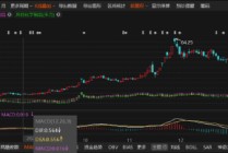 嘉澳环保连续两年年报造假被罚，投资者权益受损！