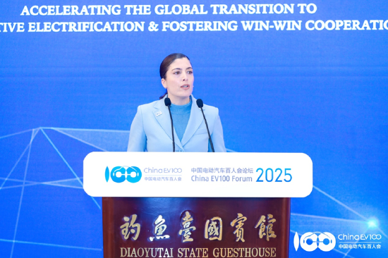 国际论坛顺利召开,共议全球汽车电动化合作、转型之策|百人会论坛2025 第16张 国际论坛顺利召开,共议全球汽车电动化合作、转型之策|百人会论坛2025 第16张