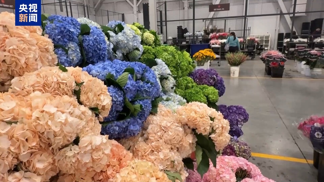 美股继续暴跌、衰退预警齐发 美媒诘问：谁为关税“埋单”？  第8张