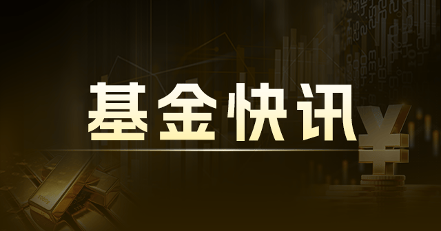 国投瑞银新增长混合 C：规模变动与收益  0.04 亿 第1张