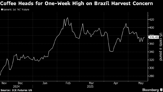 阿拉比卡咖啡延续涨势 因市场担忧巴西产量 第1张 阿拉比卡咖啡延续涨势 因市场担忧巴西产量 第1张