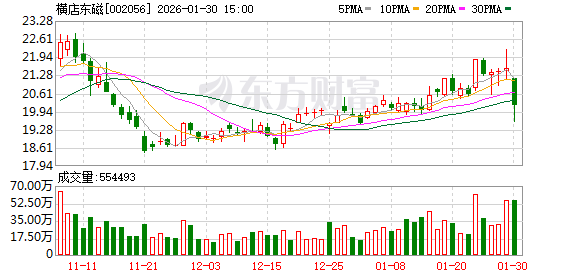 横店东磁:公司已在东南亚、南亚等地围绕核心业务完成了战略性产能布局 第1张 横店东磁:公司已在东南亚、南亚等地围绕核心业务完成了战略性产能布局 第1张
